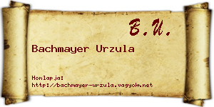 Bachmayer Urzula névjegykártya